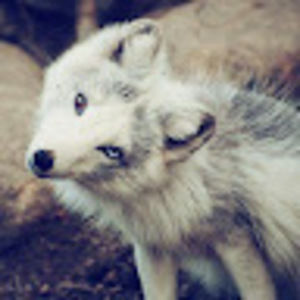 Meet your Posher, Kaley